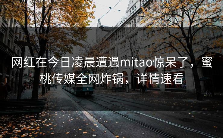网红在今日凌晨遭遇mitao惊呆了,蜜桃传媒全网炸锅,详情速看 网红在今日凌晨遭遇mitao惊呆了,蜜桃传媒全网炸锅,详情速看